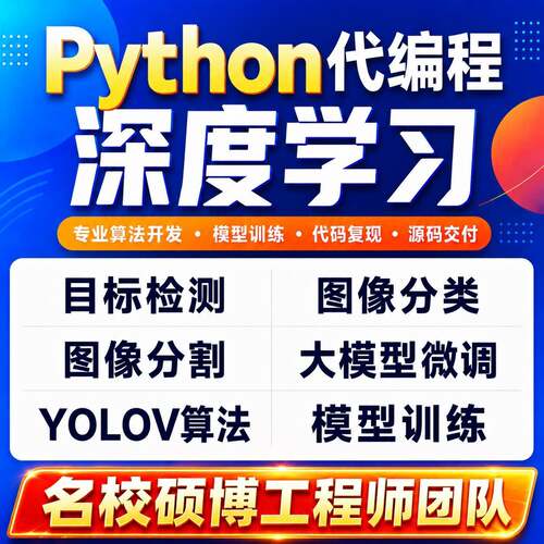 深度学习python代做医学图像识别图像分割yolo目标检测强化学习