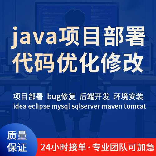 java专案部署解决bug代码优化修改功能运行指导软体后端开发