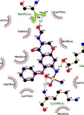 分子对接互作分析富集分析动力学模拟电解液药物蛋白质预实验设计