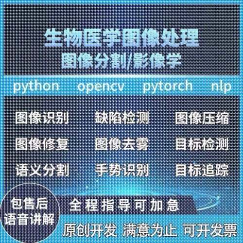 Python程序代编Pytorch医学图像分割Nlp代做CV人工智能深度学习