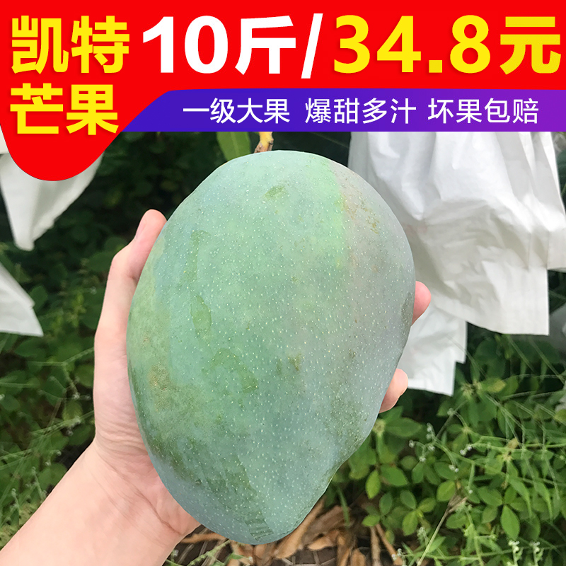 四川凱特芒果當季新鮮水果包郵批發攀枝花10斤整箱大芒果孕婦忙果