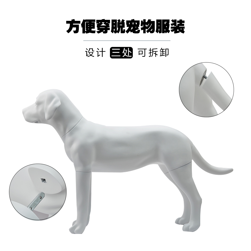 拉布拉多狗模型宠物模特摆件