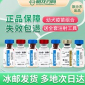 荷兰英特威犬用进口疫苗四联二联六联宠必威狂犬病预防针自打套装