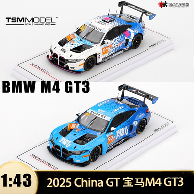 宝马M4GT3赛车中国赛汽车模型