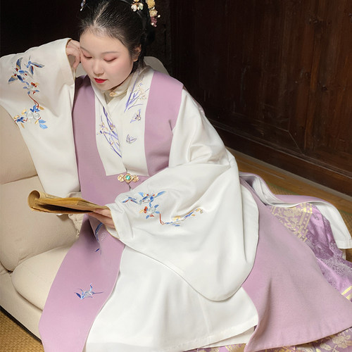 随淇自然大码明制立领长衫汉服