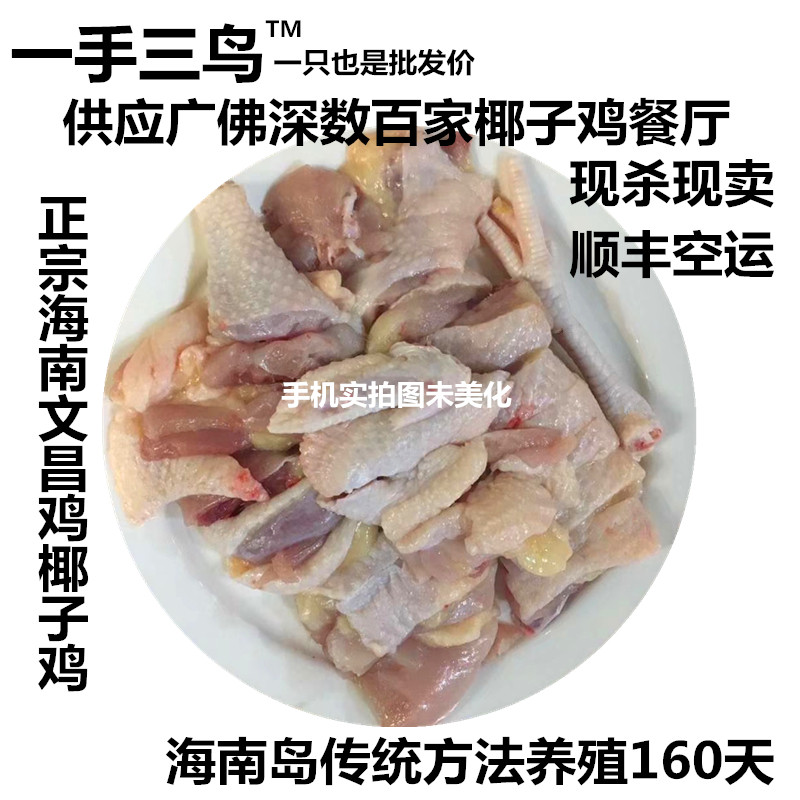 [Native chicken Phoenix]Wenchang chicken Coconut Hainan Backyard Chicken meat Shunfeng Air transportin the Aquatic meat/Fresh fruits and vegetables/Cooked , Raw meat/Meat , Chicken , Whole chicken  category - from Buy2taobao.com to provide professional Taobao agent buy service