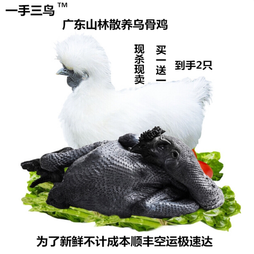 山林新鲜竹丝买一只送一乌骨鸡
