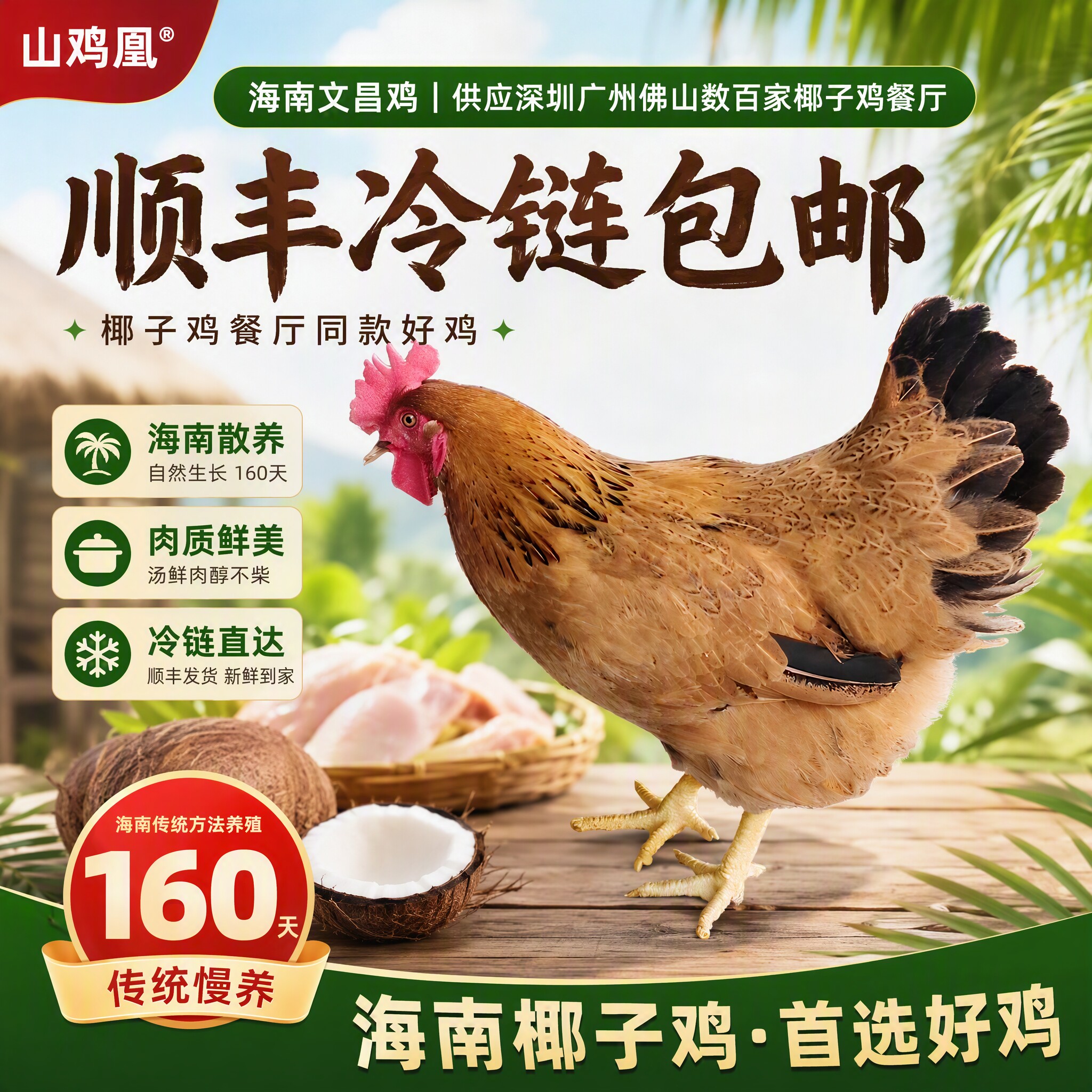 【山鸡凰】海南文昌鸡农家散养椰子鸡新鲜整鸡走地鸡土鸡肉发顺丰