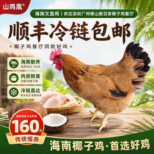 海南文昌鸡山鸡凰文昌鸡椰子鸡