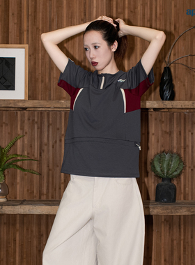 APOGE3阿保机 半拉链训练骑行服速干防晒羽毛球蓝球衣运动短袖T恤