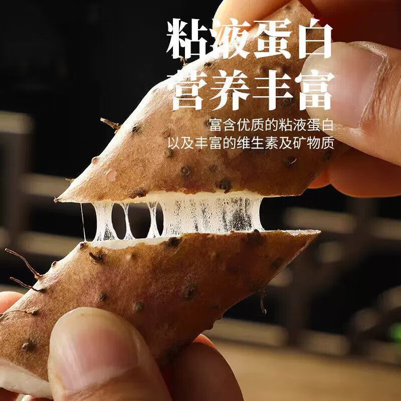 河南温县正宗垆土铁棍山药现挖现发李时珍记载淮山药顺丰