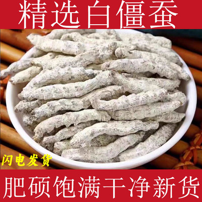 白僵蚕中药材正品白僵虫干货白天虫 麸炒白僵蚕 自制疤痕膏原料