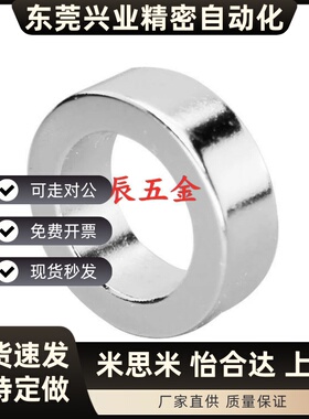 环形磁铁 BLS41-D6/D8/D10-V2/V3/V4/V5/V6-T1/T2/T3/T5