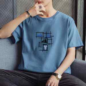 2025夏季新款现货量大P8块休闲学生印花大码男士短袖T恤DT158-P10图片