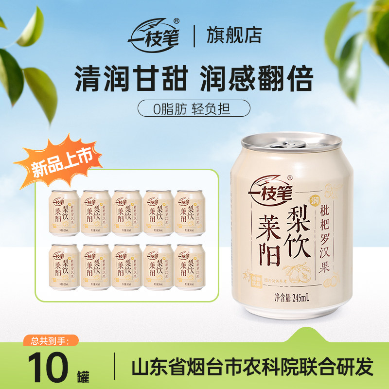 一枝笔枇杷莱阳梨汁礼盒245ml*10罐装草本果汁罗汉果饮品健康饮料