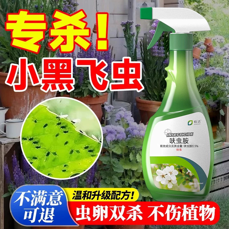 小黑飞杀虫剂杀花盆里小飞虫非专杀非无毒花卉植物花里有灭杀神器