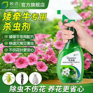 矮牵牛专农用打杀虫药剂花卉植物红蜘蛛大全治红蜘蛛白粉虱蚜虫