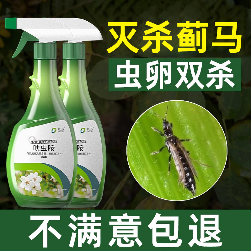 治抗性蓟马非特效杀虫剂虫卵双杀药月季花红蜘蛛喷雾植物花卉专用