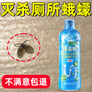 厕所小飞虫灭杀神器蛾蠓蛾蚋管道除虫下水道灭娥蚋黑色小飞虫杀虫