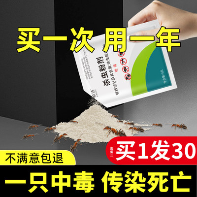 蚂蚁药家用白蚁防治专用一锅全窝室内非无毒杀蚁饵剂灭端农用菜地