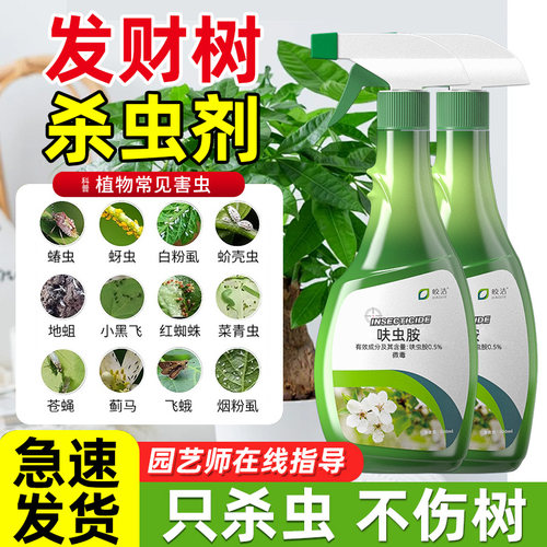 发财树杀虫剂生虫盆栽土壤小飞虫幸福树蚧壳虫喷剂家用室内除虫药