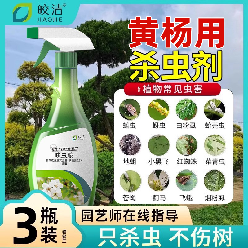 黄杨杀虫剂驱虫药树除虫盆景专用虫害生蚧壳虫用介壳打芥壳非无毒