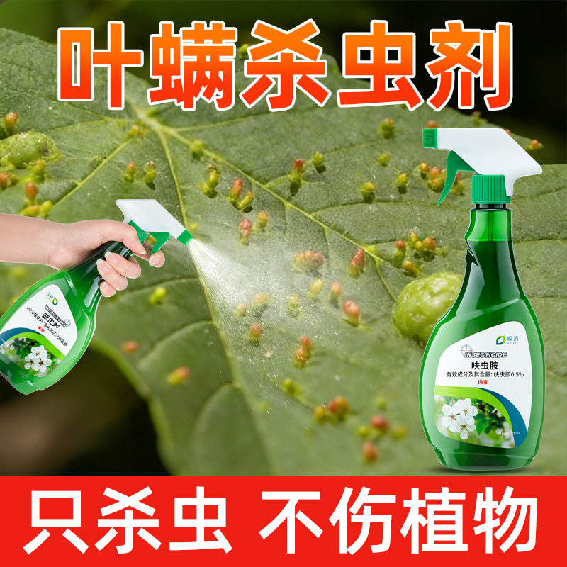 除叶螨杀虫剂杀专用药治喷雾打红知蛛灭小蜘蛛果树绿植蚜虫和月季