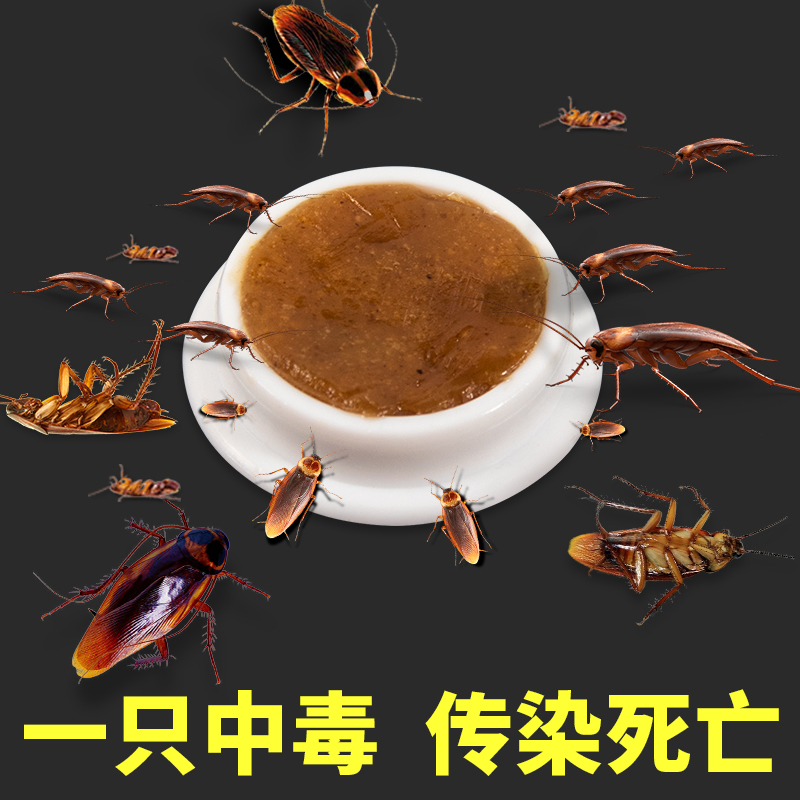 蟑螂药一只中毒传染死亡