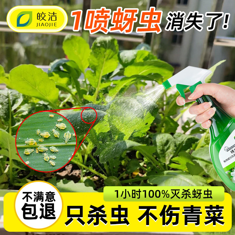 蚜虫杀虫剂蔬菜专用打虫药水小青菜治白菜虫菜园非无毒阳台种菜农,洗护清洁剂/卫生巾/纸/香薰,杀虫剂（卫生农药）,淘宝优惠券,粉丝福利购,淘宝优惠卷