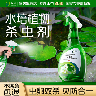 水培植物杀虫剂碗莲除虫剂睡莲绿植除蚊虫鱼缸幼虫药孑孓红线虫药