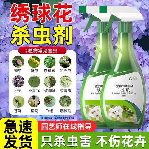 绣球花杀虫剂花药非专用药除虫剂防虫驱虫用药虫害生虫药花生蚜虫
