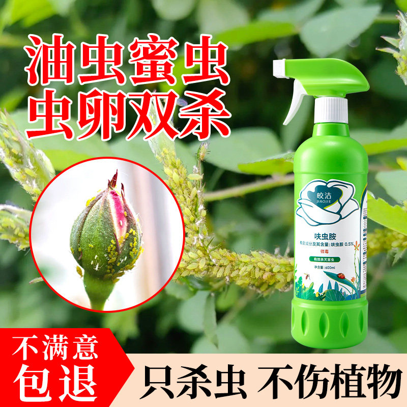 杀治油虫杀虫剂除油去油打燕专用虫药驱油汉虫灭防蚜虫蜜虫腻虫药