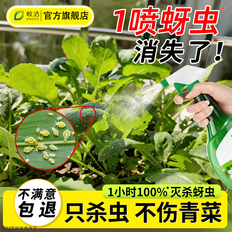 蚜虫杀虫剂蔬菜专用打虫药水小青菜治白菜虫菜园非无毒阳台种菜农