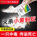 灭小黄蚂蚁药家用室内全窝非无毒端杀蚂蚁 药一锅除专用神器饵剂