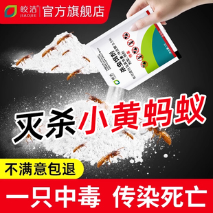 药一锅除专用神器饵剂 灭小黄蚂蚁药家用室内全窝非无毒端杀蚂蚁