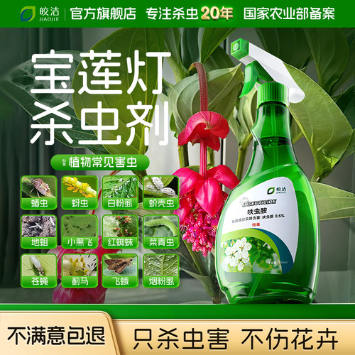 【不满意包退】只杀虫害不伤植物