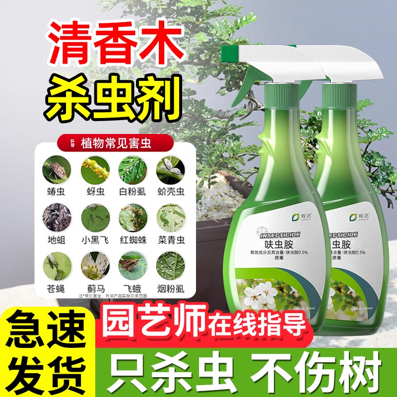 清香木杀虫剂胡椒驱虫除虫长虫蚜虫打虫药生盘栽青香虫害树治虫药