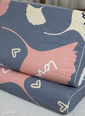 纯棉乳胶枕套50X30儿童记忆成人60X30枕头套35X55中号一对拉链口