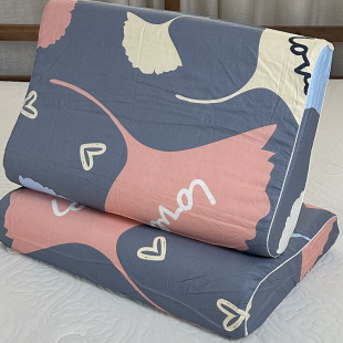 纯棉乳胶枕套50X30儿童记忆成人60X30枕头套35X55中号一对拉链口