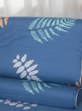 一对100%棉全棉乳胶枕套50X30儿童记忆成人60X30枕头套四季35X55