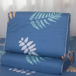 一对100%棉全棉乳胶枕套50X30儿童记忆成人60X30枕头套四季35X55