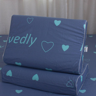 纯棉乳胶枕套50X30成人60X40枕头套35X55中号35X60一对27X45拉链