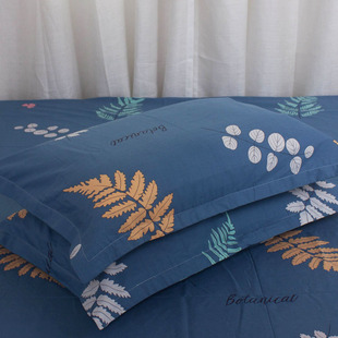 纯棉枕套一对100%全棉加厚成人大号40X60单人儿童小号枕头套45X70