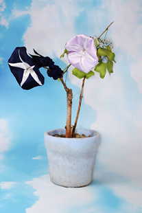 关晓彤同款sorgenti【夕颜牵牛花发圈】原创设计艺术手工高级发饰