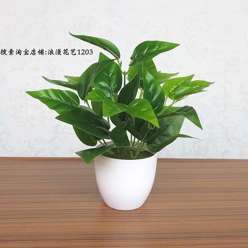 仿真植物假绿萝小盆栽室内桌面