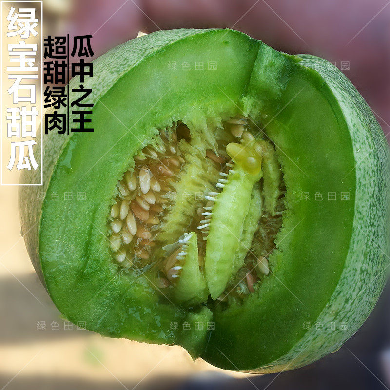 正品绿宝石甜瓜种子超甜薄皮绿肉香瓜籽苗春夏四季播蔬菜水果种孑