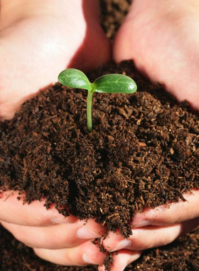 阳台种菜大自然土壤营养土通用型种植花土黑土有机肥料蔬菜专用土
