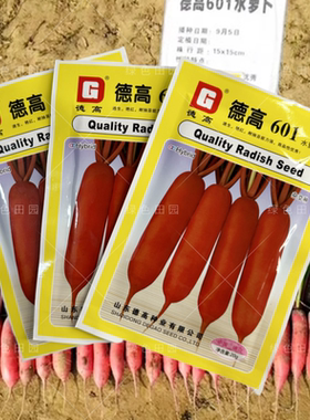 德高601水萝卜种子无辣味微甜红皮白心萝卜种籽春秋季播蔬菜种孑