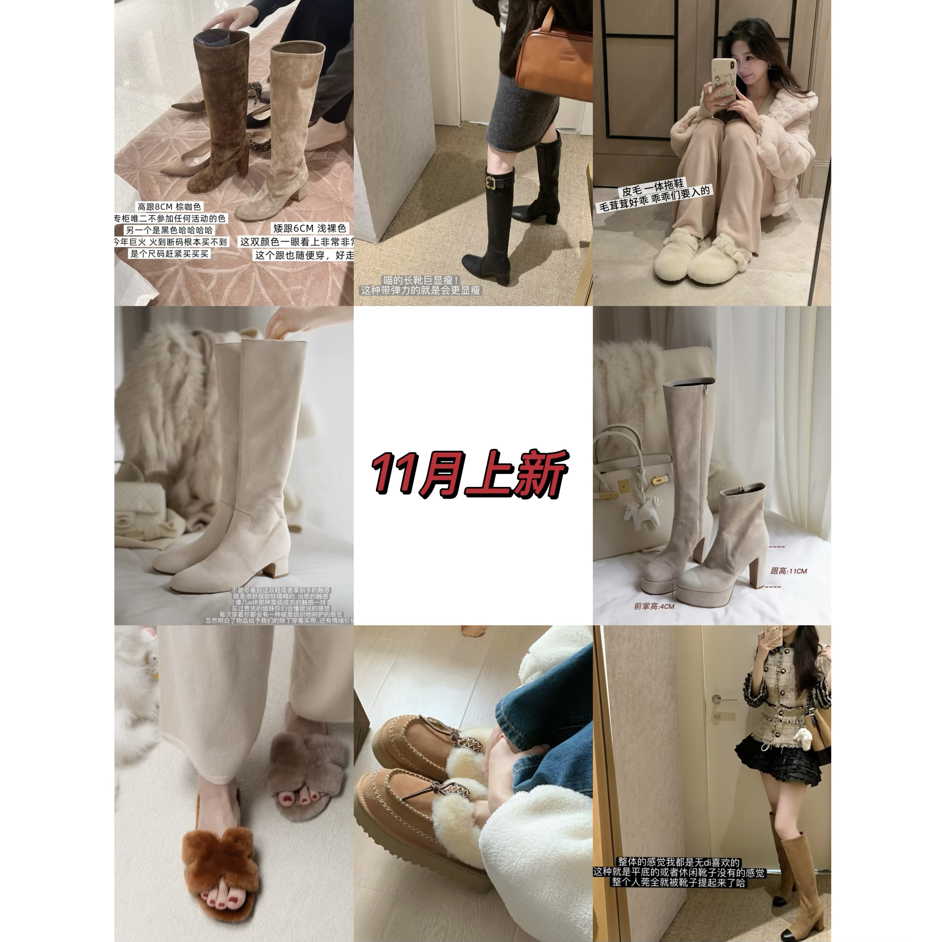 11月上新集合