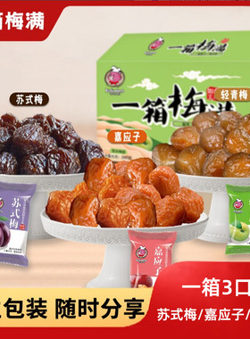 【一箱20-24个】一箱梅满300g梅子蜜饯青梅零食独立包装小包装